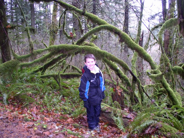 Waukeena Mult Falls 11.26.05 038 